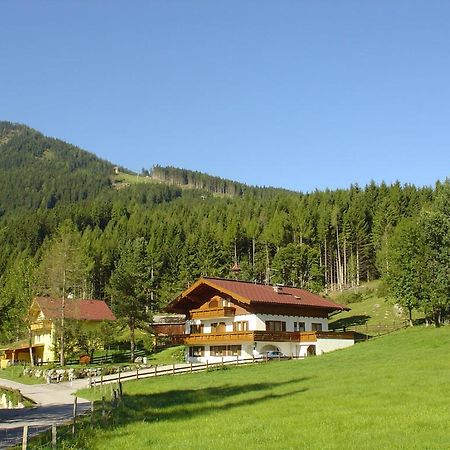 Landhaus Dickhardt Apartamento Schladming Exterior foto